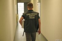 Бастрыкин затребовал доклад по делу о гибели девушки на мосту под Ростовом