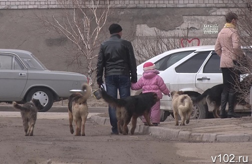 Ул. Правды, г. Волгоград