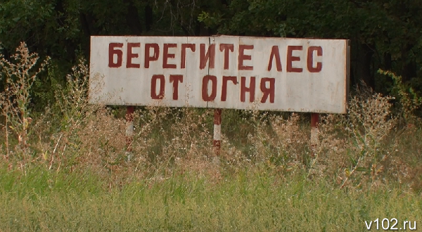 Жителей Волгоградской области не пустят в лес из-за жары