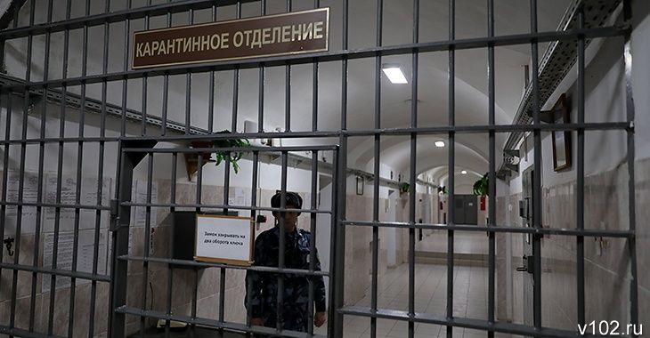 Интернет Магазин В Волгоградской Области
