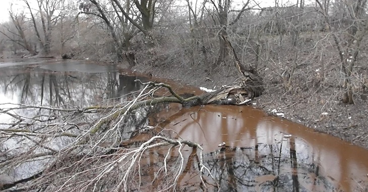 Чиновники выдвинули версию пожелтения реки в Волгоградской области