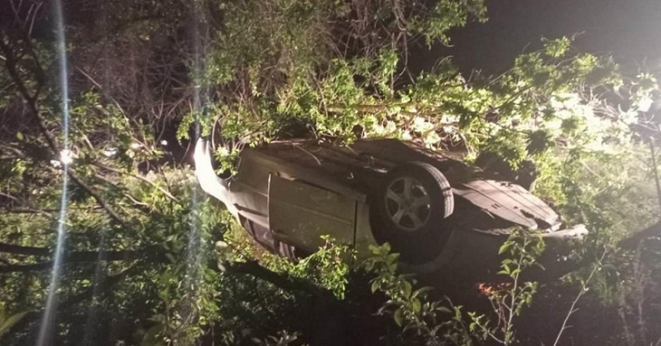 В Волгоградской области водитель умер, наехав на дерево