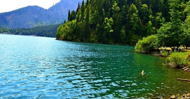 Где лучше отдыхать в Абхазии в 2022 году