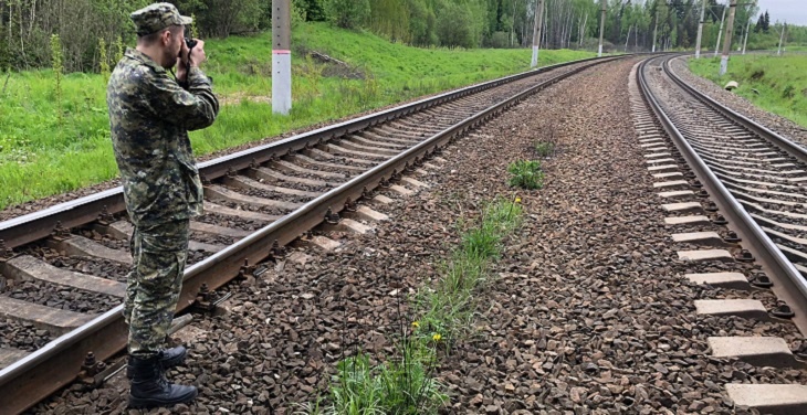 Поезд Москва – Волгоград насмерть сбил двух подростков-выпускников