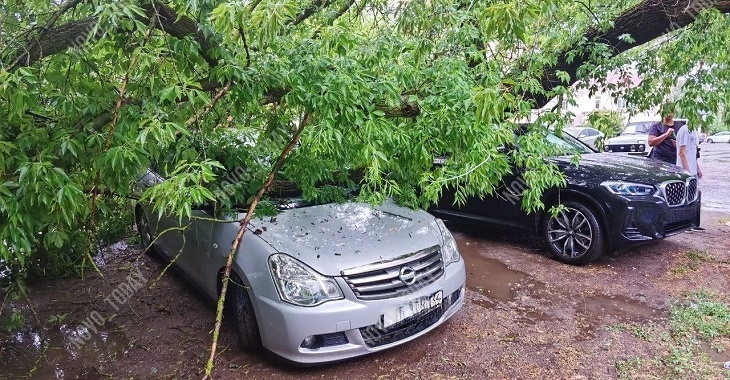 Ураганный ветер в Волгоградской области повалил дерево на иномарки: видео