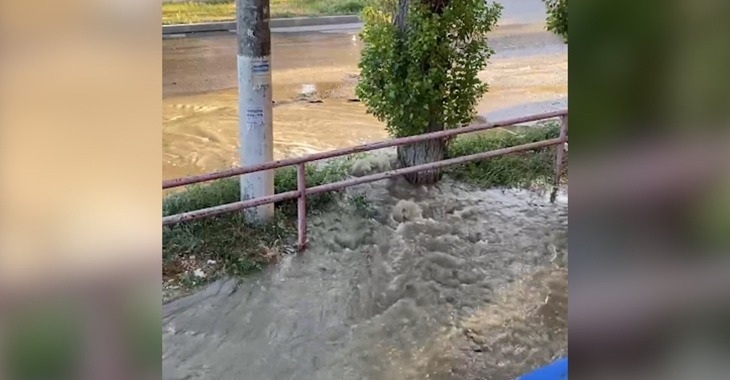 В Волгограде из-под тополя забила вода: видео
