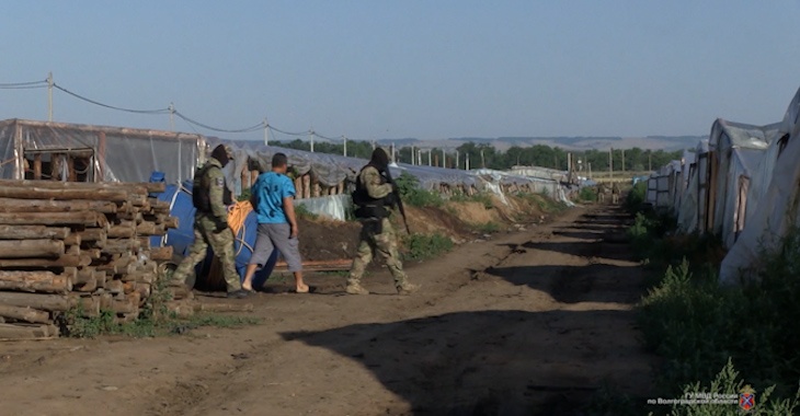 Вооруженные силовики устроили облаву в помидорном раю под Волгоградом: видео