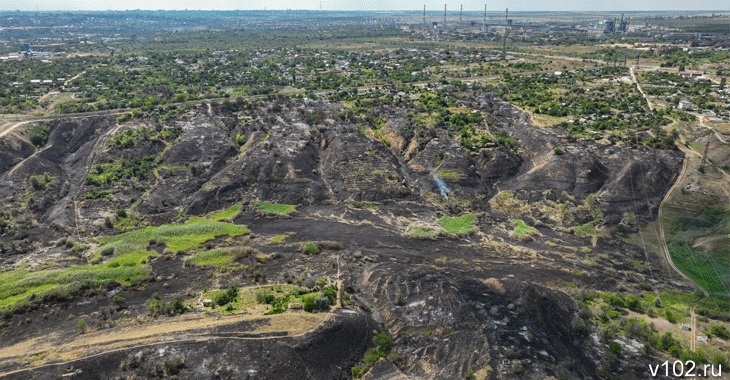 Обгоревшие дома и выжженная земля: фотограф показал с высоты СНТ, уничтоженное пожаром