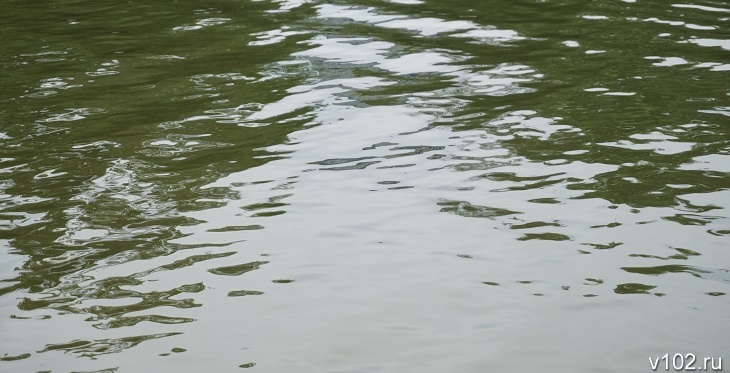 Ищут водолазы: в пруду под Волгоградом утонул мужчина
