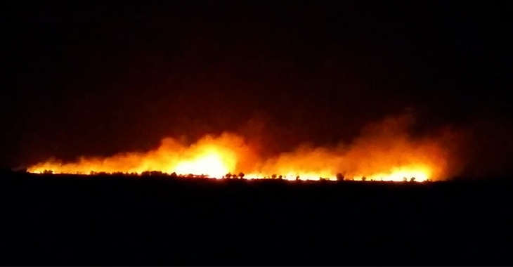 «Хутор был готов к обороне»: в Волгоградской области потушили пожар рядом с деревней
