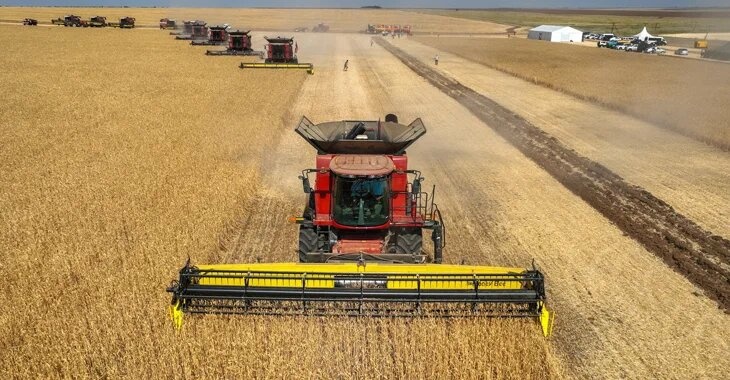 «Это не предел»: в Волгоградской области собрали 6 млн тонн зерна
