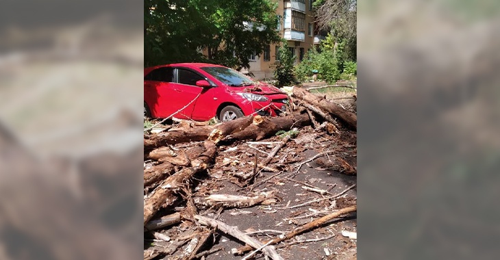 В Волгоградской области пыльный ураган срывает крыши и валит деревья