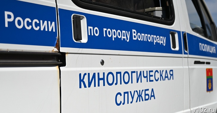 Всем оставаться на местах: вуз в центре Волгограда проверили из-за угроз без эвакуации