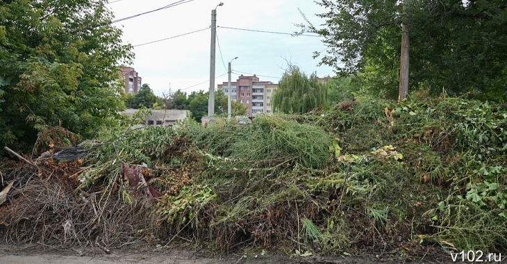 Чиновники уже год борются отписками с горой мусора в частном секторе Волгограда
