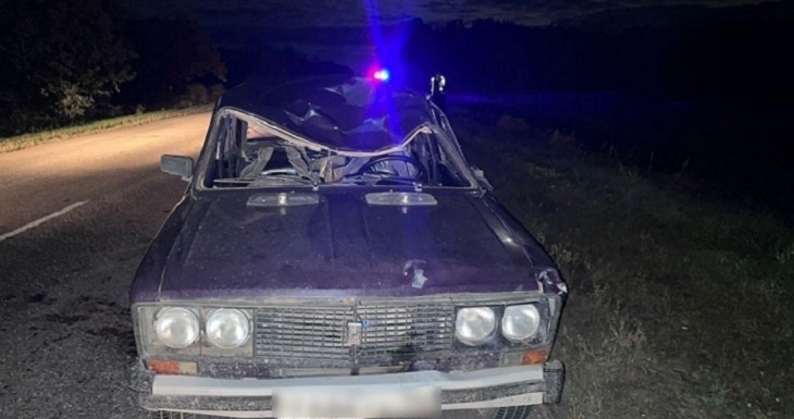В Волгоградской области водитель машины погиб из-за выбежавшего на дорогу лося