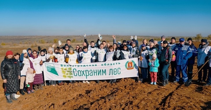 ВТЗ принял участие во всероссийской акции «Сохраним лес»