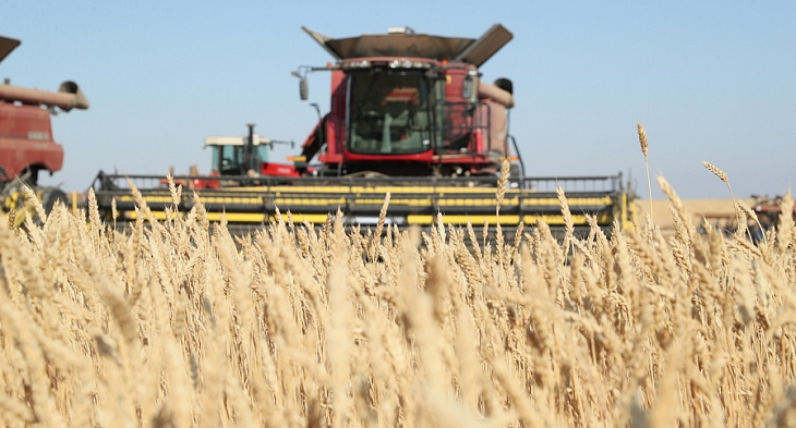 Впервые за 46 лет волгоградские аграрии собрали 7 млн тонн зерна