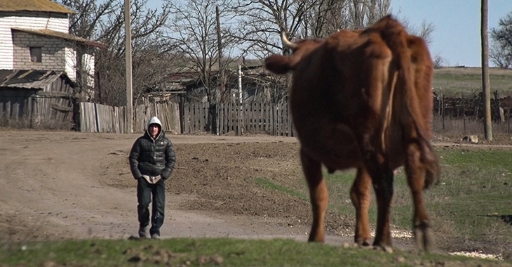 Легковушка разбилась из-за коровы на дороге в Волгоградской области