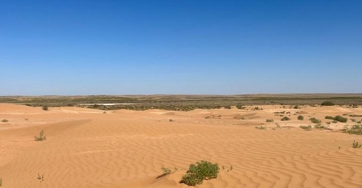 Технологии МТС помогут решить проблему опустынивания и засухи в России