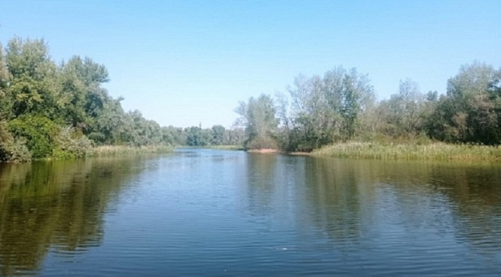 Количество укушенных клещами волгоградцев выросло за неделю до 115 человек