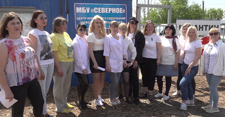 Зоозащитники попросили губернатора построить в Волгограде муниципальный приют для бездомных животных