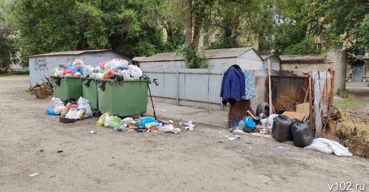 «Виноваты полигоны и люди»: в центре Волгограда зарастают мусором гаражи под окнами жилого дома