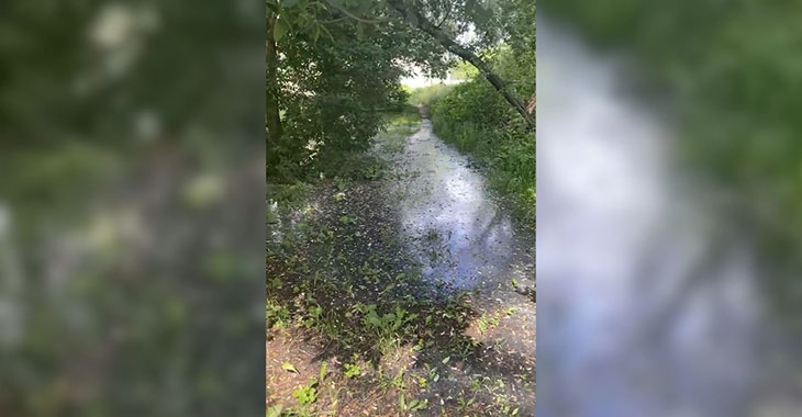 Фекалии затопили пойму реки Малая Казанка в Котово после засора канализации
