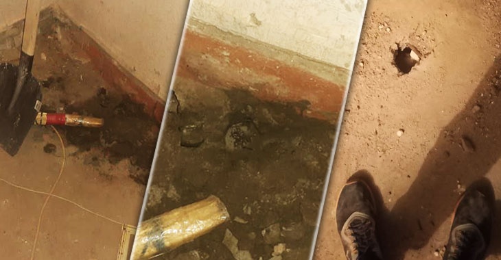 «Она сидела в ванной»: жителей девятиэтажки в Волгограде терроризируют крысы