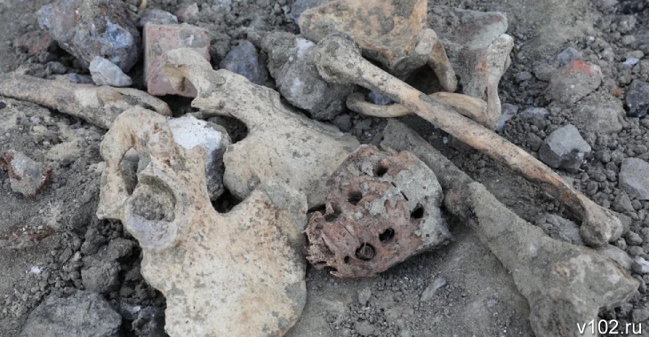 В Волгоградской области в выгребной яме нашли останки человека
