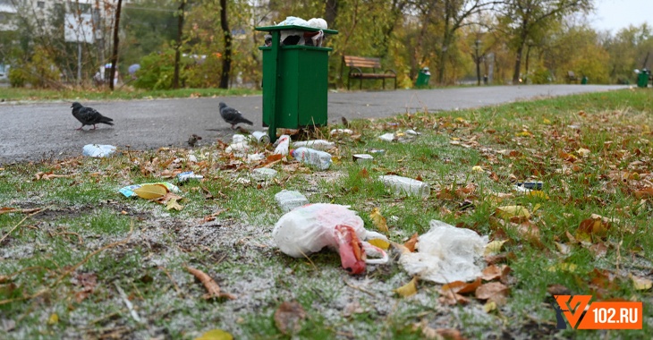 «Мусор не вывозится с весны»: в Волгограде захирел некогда популярный сквер на ул. Северный Городок