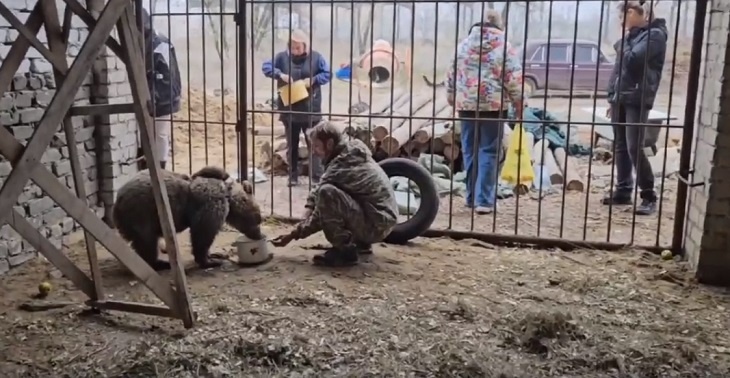 «Грызет лапки и все время дерется»: в волгоградский зооцентр «Дино» привезли спасенного из Дагестана мишку