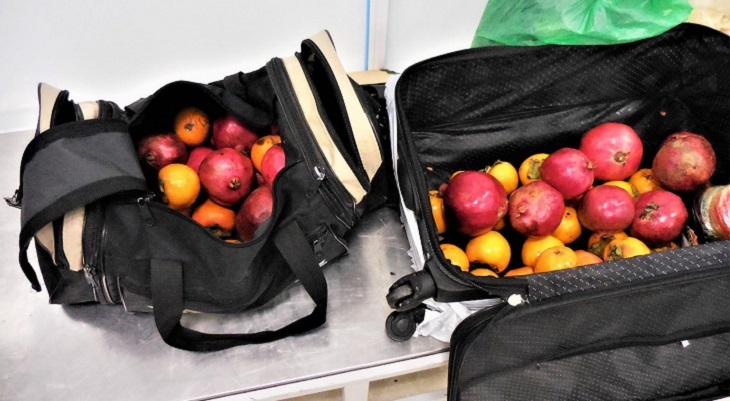В аэропорту Волгограда у пассажиров отобрали запретные плоды из Азербайджана