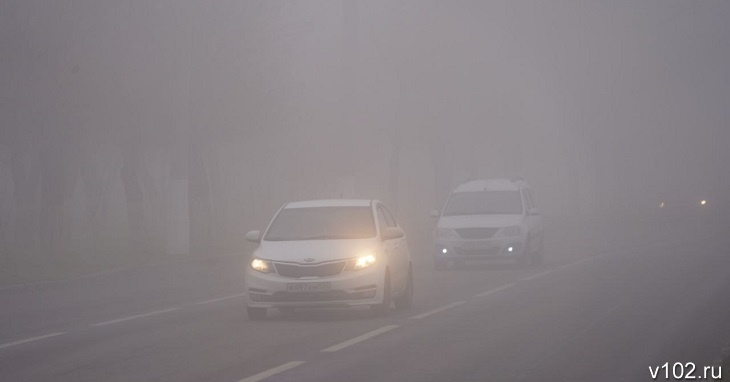 Участок трассы Р-228 из-за густого тумана закрыли для автобусов