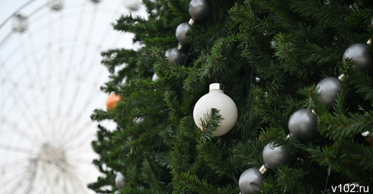 Главную новогоднюю ель Волгограда снова установят в ЦПКиО