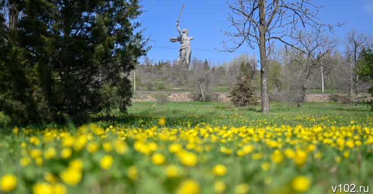Синоптики рассказали, когда в Волгоград придет стабильно теплая весна