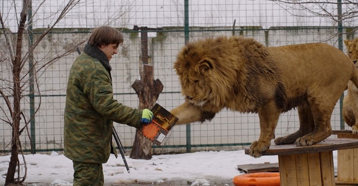 В Волгограде разыграют книги с «лапографами» льва на ярмарке в ЦПКиО