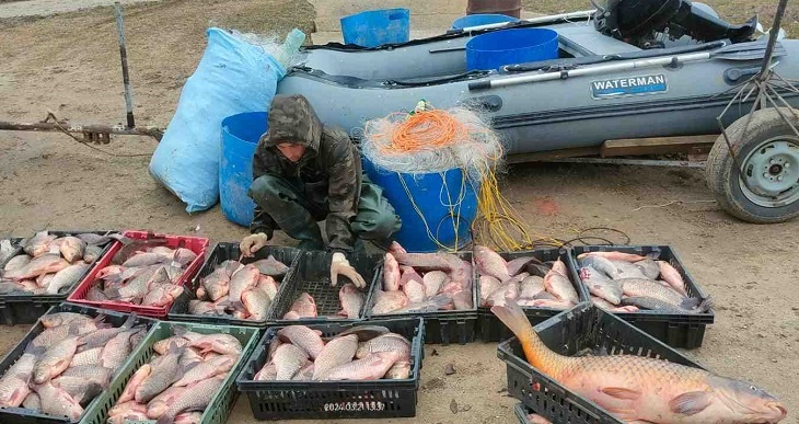 Рыбака с сетями и 216 кг рыбы поймали в Волгоградской области