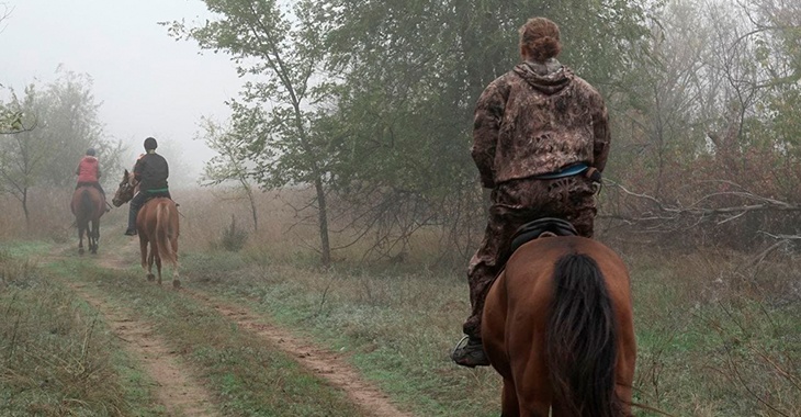 «Именно здесь я на своем месте»: житель Николаевского района построил конное подворье на руинах детдома