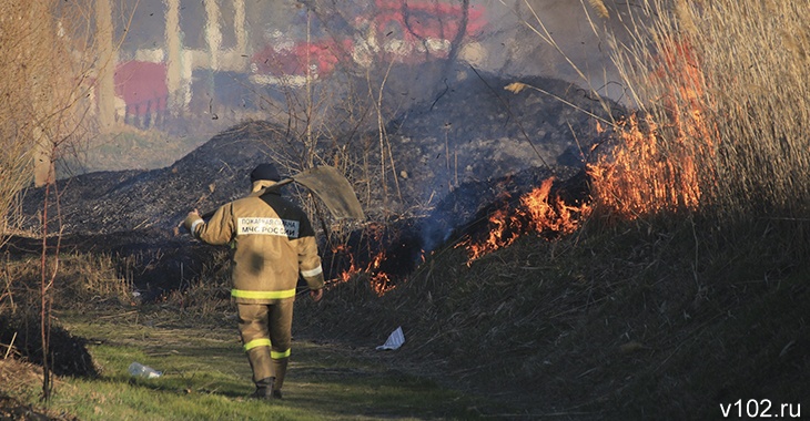 Пожар на острове Сарпинский в Волгограде тушили восемь часов
