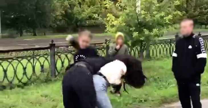 Екатерина Мизулина потребовала остановить орудующую в Волгограде девчачью банду