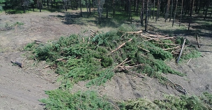Цены на дрова проиндексируют в Волгоградской области на 3,6%