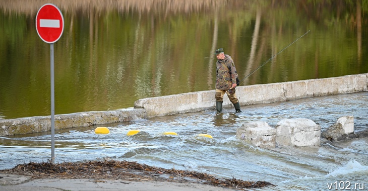 В Волгоградском филиале ВНИРО рассказали, как майские заморозки отразились на нересте рыбы