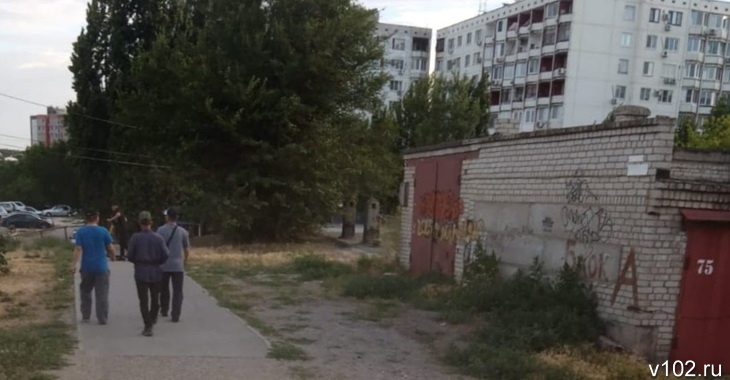 «А вы ходите с сосисками»‎: в Волгограде сторожевая собака держит в страхе жителей ул. Репина