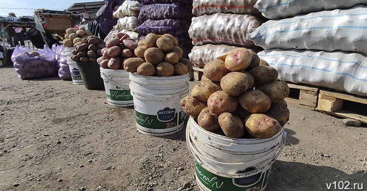 Картошка в Волгограде за месяц подорожала почти в 2 раза
