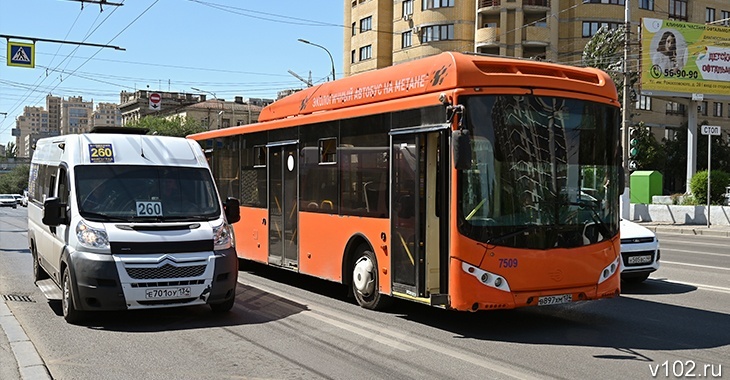В Волгограде перевозчикам сулят миллионы за обслуживание дачных маршрутов