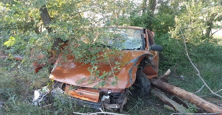 Пассажиры «десятки» пострадали после встречи с деревом в Волгоградской области