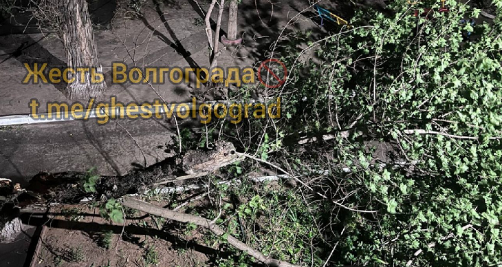 Шторм в Волгограде повалил деревья и затопил улицы