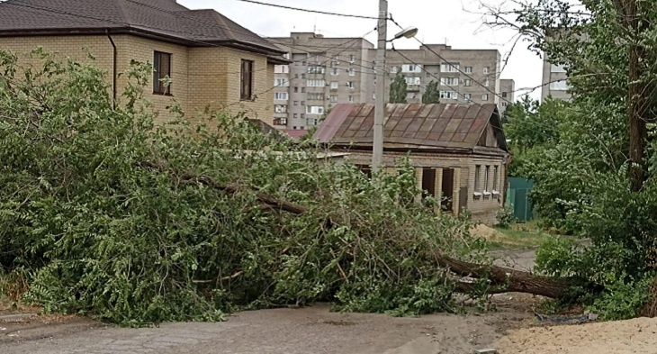 «Звонили и в 112»: на улицах Волгограда остается лесоповал после урагана