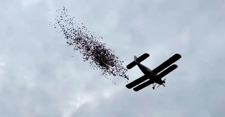 В Волжском на День города самолет сбросит тысячи листовок
