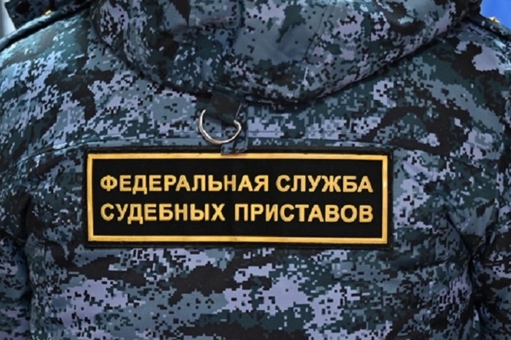 Пьяный житель Волгоградской области напал на судебного пристава